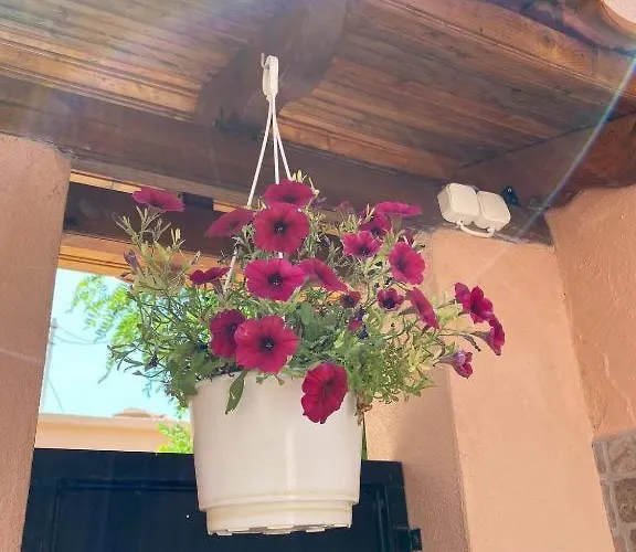 Apartamento Ano Poli 4