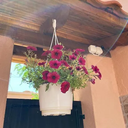 Apartment Ano Poli 4